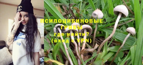 не бодяженный Армянск