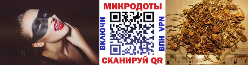 Псилоцибиновые грибы прущие грибы Малгобек